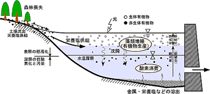 図-2　湖沼・貯水池における水質現象