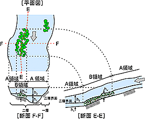 図-1　樹木が繁茂した河川における洪水流の構造