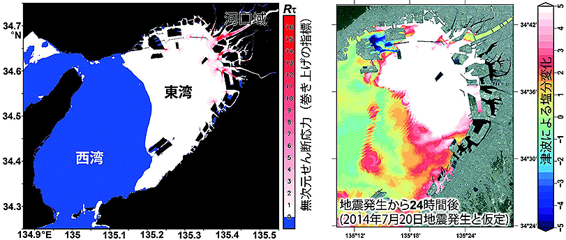 図１ 沿岸水域における津波による巻き上げ(左)と塩水化分布の計算結果(右)