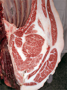 優良賞の牛肉