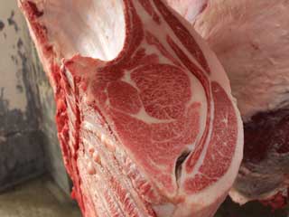 神戸牛・神戸肉の丹波屋 - 神戸肉の最優秀賞の盾が遅れて届き