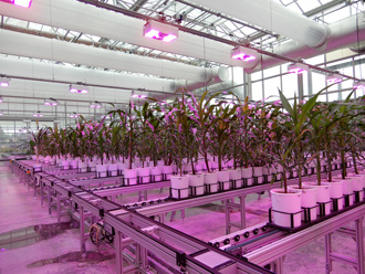 Greenhouse Innovation Center