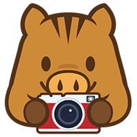 広報活動