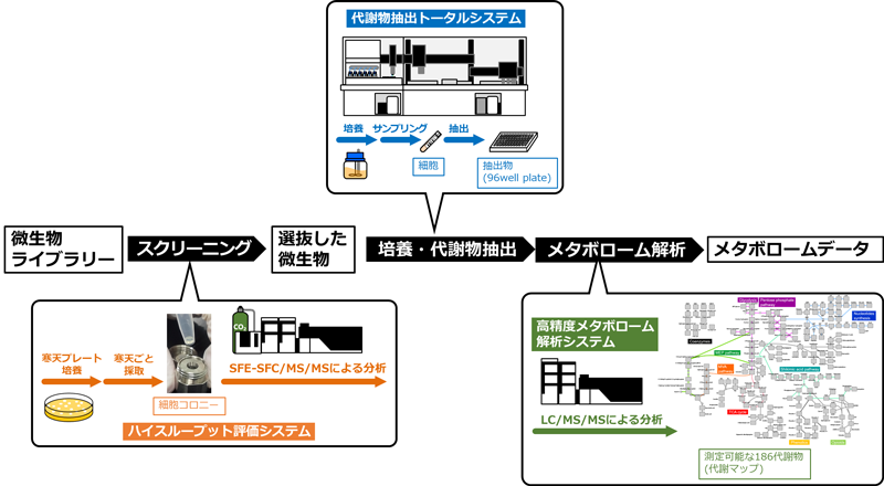 代謝物