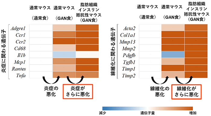 インスリン抵抗性と NAFLD はどのように治療されますか?