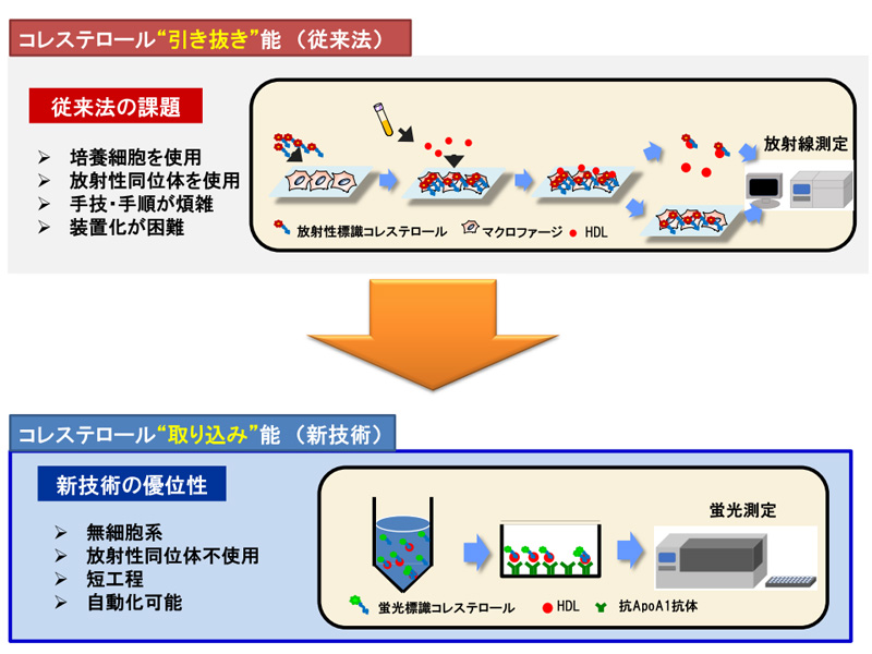 コレステロールを運び動脈硬化を防ぐhdl 臨床で実用可能な機能測定法を世界で初めて開発 Research At Kobe