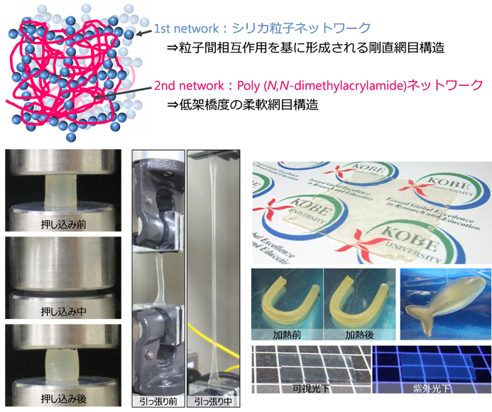 壊れない、乾かないゲル ―イオン液体を大量に含む高強度ゲルを開発 ...