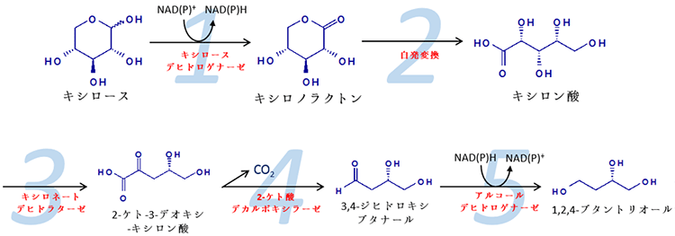 脱水素化