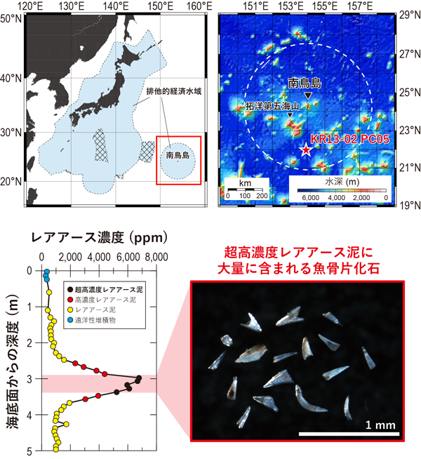 レアアース る と に は に され 島 沖合 ある 大量 が