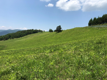 歴史が古い植生ほど希少種が多い 生態系保全の優先度明らかに Research At Kobe 歴史が古い植生ほど希少種が多い 生態系保全の優先度明らかに Research At Kobe