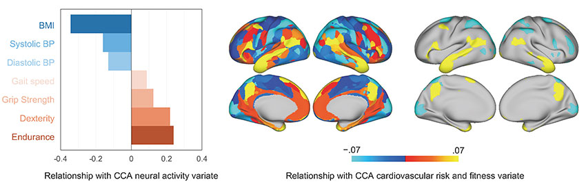 Cardiovascular risk factors and low physical fitness associated with decline in social cognitive functions