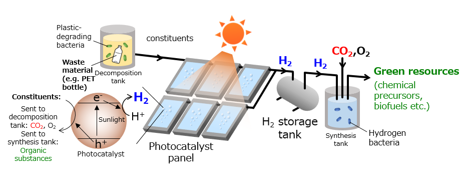 Diagram