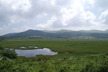 八島湿原