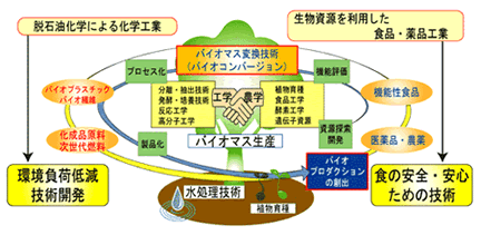 図2 バイオプロダクション次世代農工連携拠点の目指す研究領域