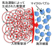 図1 衝撃波殺菌のイメージ
