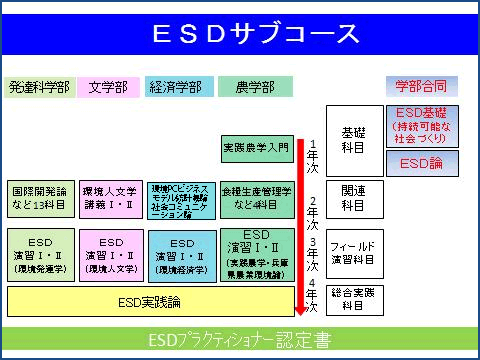 図2　ESDサブコースのカリキュラム