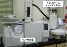 ガスクロマト質量分析装置