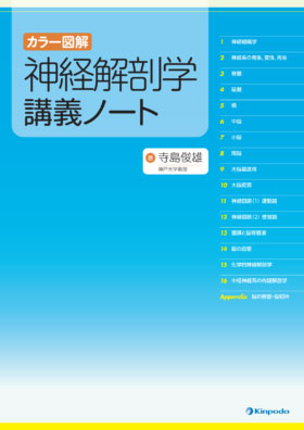 カラー図解 神経解剖学講義ノート