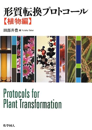 形質転換プロトコール《植物編》