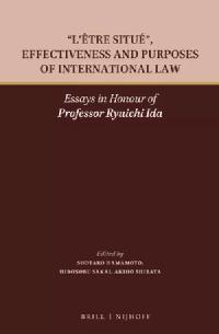 "L'être situé", Effectiveness and Purposes of International Law