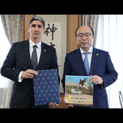 Қоғамдық көлікте трусики жыпылықтаған әйелдердің бейнелері