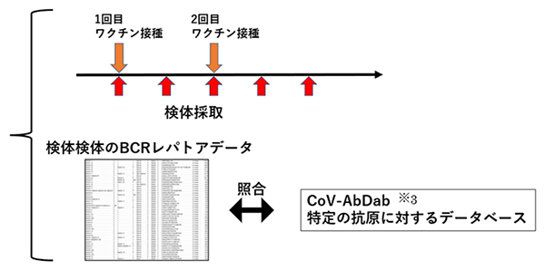 飲み忘れた場合