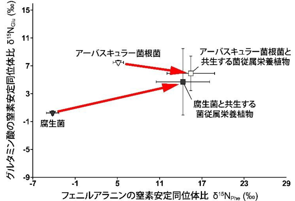 植物間の&ldquo;炭素の融通&rdquo;は一般的か？ －植物間炭素移動を読み解く新しい「ものさし」を提案－