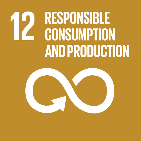 SDGs12